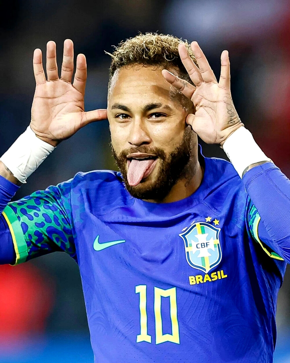 恐后地展现 恐后地展现