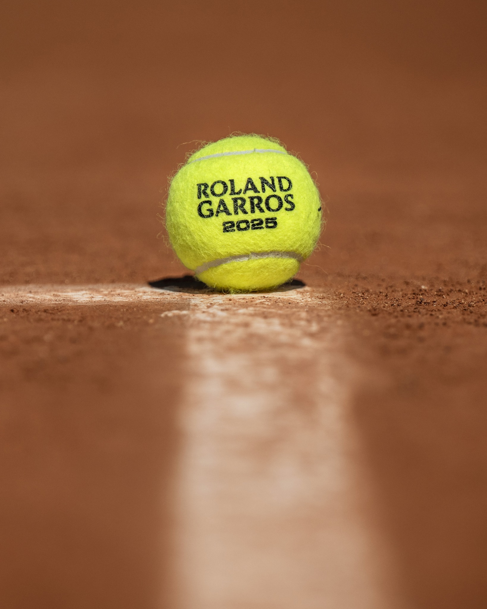 里昂的命运 里昂的命运